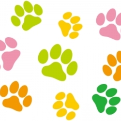 わんらぶ お見合い会