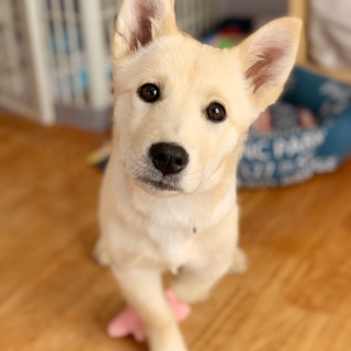 良いご縁に繋がりました。