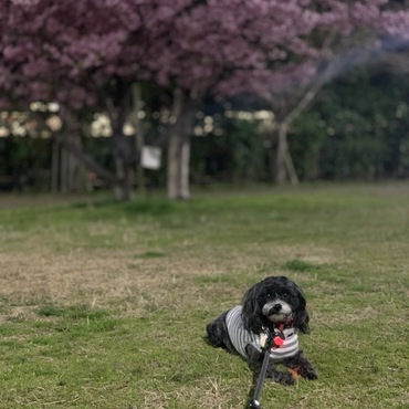 の写真