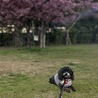 の写真