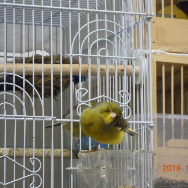 y_takahashiのカバー写真