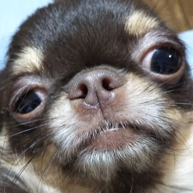 a stepのカバー写真