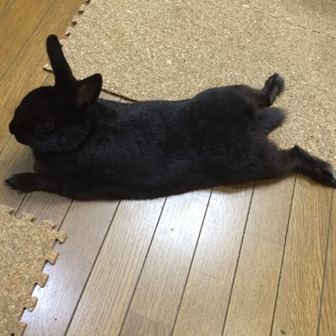 の写真