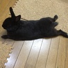の写真
