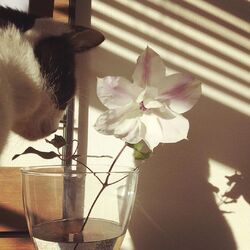 2度目の冬　元気です！