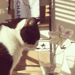 「2度目の冬　元気です！」サムネイル2