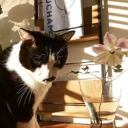 「2度目の冬　元気です！」サムネイル3