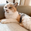 高齢者可◎小さな添い寝屋ミヤちゃん