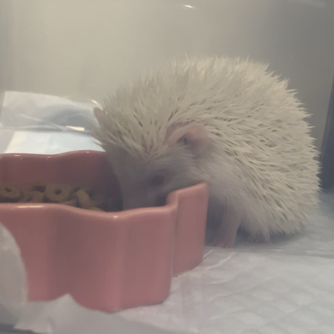 キタムロのカバー写真