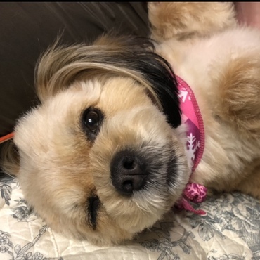 wink☆