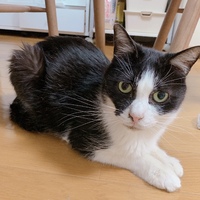 専務