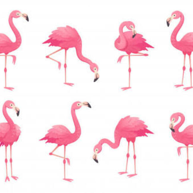 愛媛りんごのカバー写真