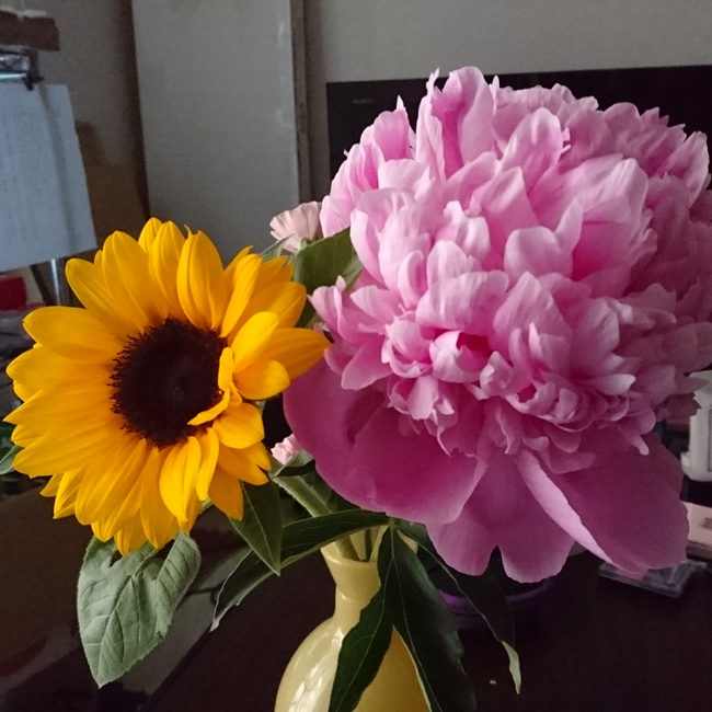 たま728のカバー写真