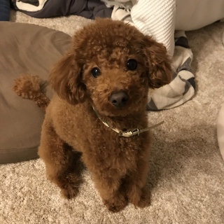 沢山のご応募ありがとうございました！