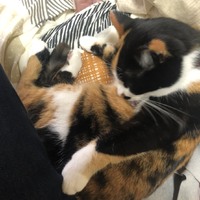 むぎ