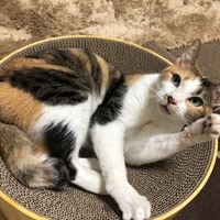 のぞみ