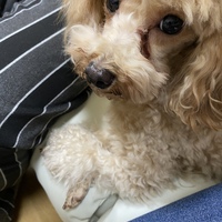 瑛莉(えり)