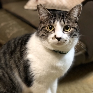 僕の家族になってくれませんか？