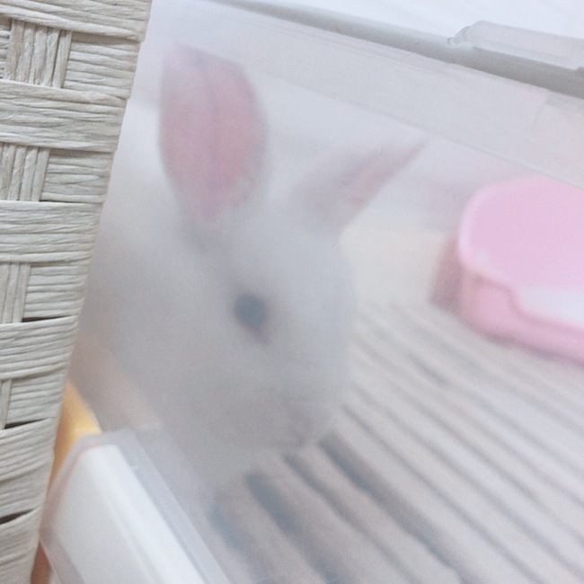ちょこぼちるのカバー写真