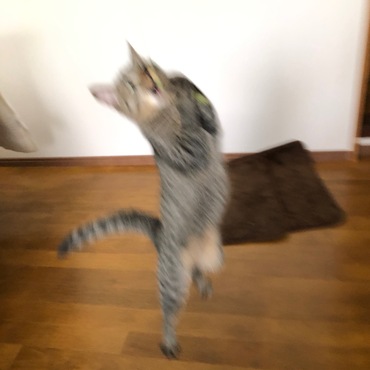 の写真