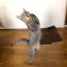 の写真