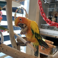 仗太郎(じょうたろう)