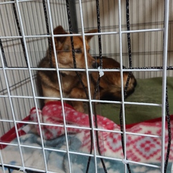 破壊王は卒業かな？