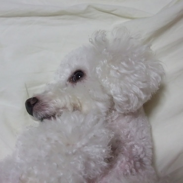 の写真