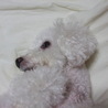 の写真