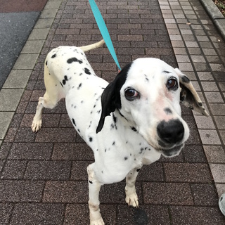 お申込み多数につき募集停止します