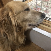 モコ