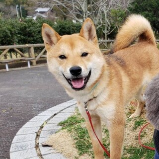 とても元気で人が大好きです 