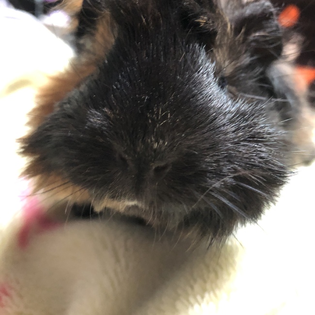 kinako3838のカバー写真