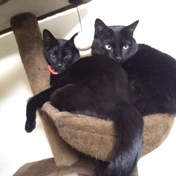 お久しぶりです