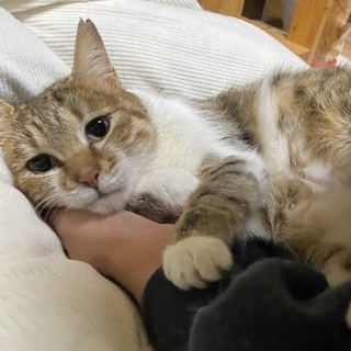 新たなご家族ができ、他の子もご縁を頂きました♪