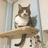の写真