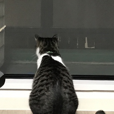 の写真