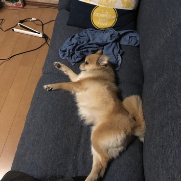 ダラダラ