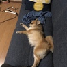 ダラダラ