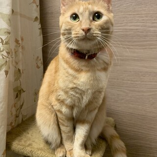 人が大好き　活発約2歳の女の子