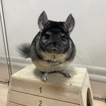の写真
