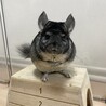 の写真