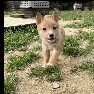 元気いっぱい‼︎てんくん1ヶ月半