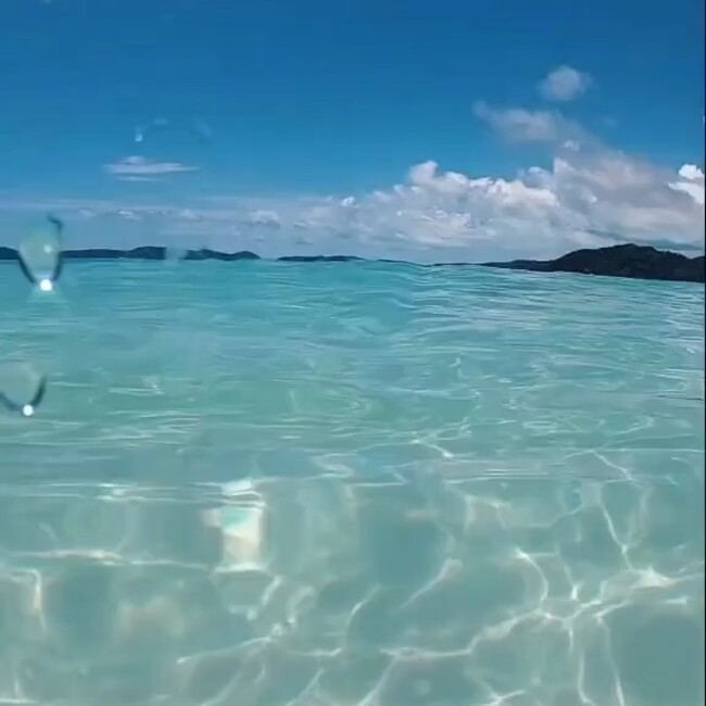 ゆーたん*のカバー写真