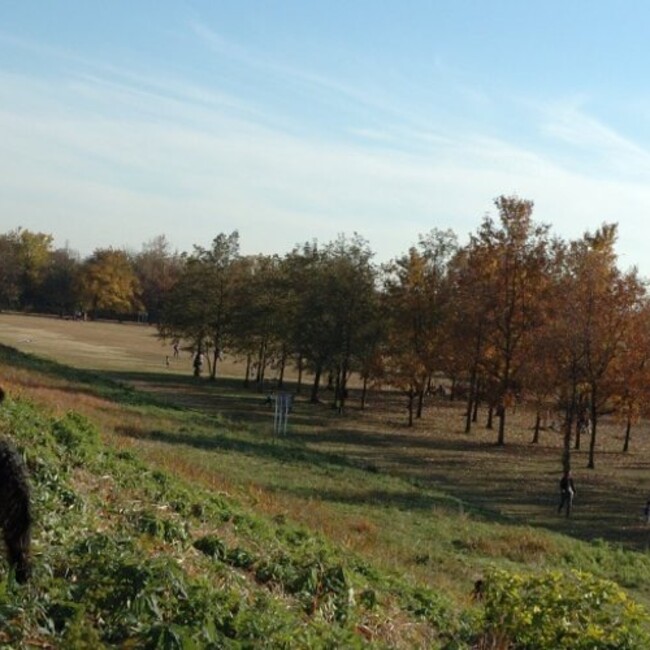 lcqzut0のカバー写真