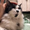 まきのさ