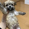 の写真
