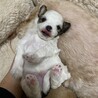 の写真
