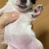 の写真