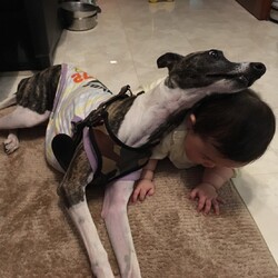 「このサイトで」サムネイル2